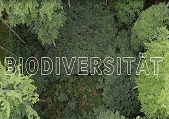 Biodiversität_119