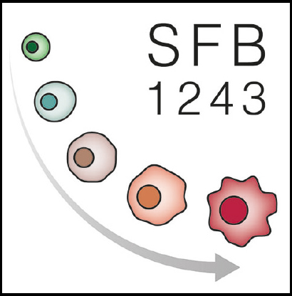 SFB1243 logo schwarzer rahmen